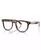 color Brown Tortoise 2