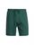 color MIDNIGHT GREEN 1