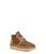 color Chestnut 1