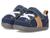 color Navy 1