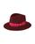 color Burgundy 0
