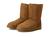 color Chestnut 2