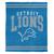 color detroit lions 1