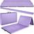 color purple 4