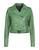 color Light green 1