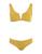 color Mustard 1