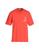 color Tomato red 1