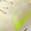 color Coconut Milk/ Neon Yellow 17