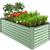 color sage green 3