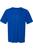 color royal 1