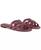 color Elderberry 1
