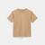 color Pale Khaki 2