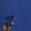 color Dutch Blue Combo 1