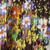 color FLORAL VINE PRINT 0