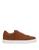color Brown 0