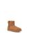 color Chestnut 1