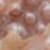 color Light Bronze Pearl 7042 1
