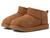 color Chestnut 1