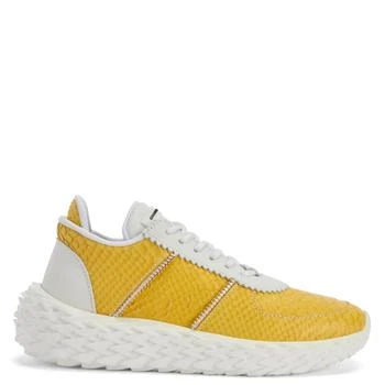 Giuseppe Zanotti | Urchin