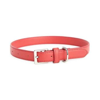 Luxe Medium Dog Collar