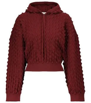 Stella McCartney | Embroidered hoodie