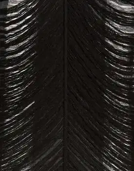 Rick Owens | Top