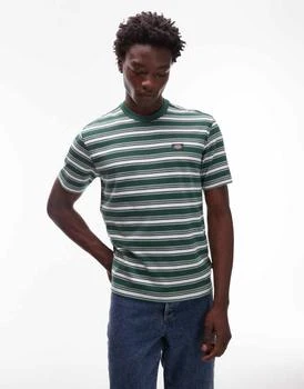 Dickies stevensville stripe t-shirt in dark green