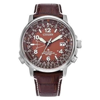Citizen Promaster Sky Perpetual World Time Brown Dial Men
s Watch CB0248-01X