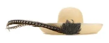Valentino | Valentino Embellished Brimmed Hat